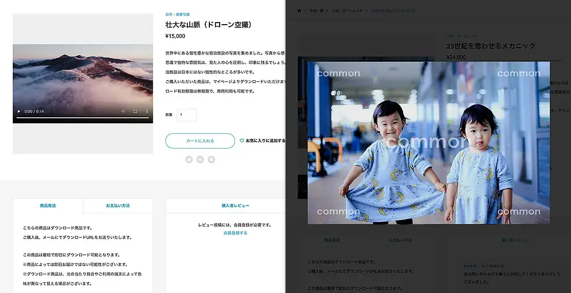 【TCDテーマ】デジタルコンテンツの販売に最適化されたWordPressテーマ「common」